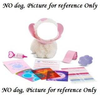  American Girl Just Like You Coconut Dog Pet Set: Toys 