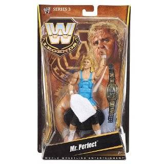 Wwe Legends Mr. Perfect Collector Figure