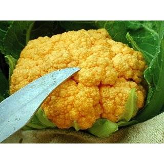   Cauliflower 4 Plants   Contain 25 X Beta Carotene of White Varieties