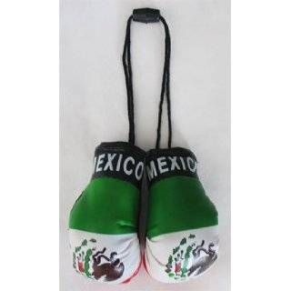  Puerto Rico   Mini Boxing Gloves: Automotive