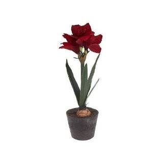 21 Red Amaryllis Battery Operated LED Lighted Silk Potted Flower 