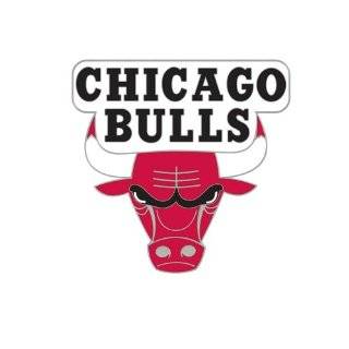  Chicago Bulls Logo Pin: Sports & Outdoors