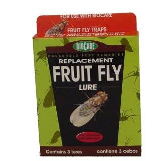  Terro 2500 Fruit Fly Trap Patio, Lawn & Garden