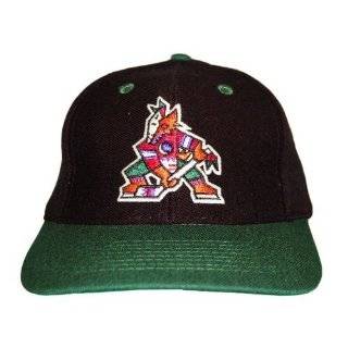 vintage retro phoenix coyotes hip pop 2tone black green visor snapback 