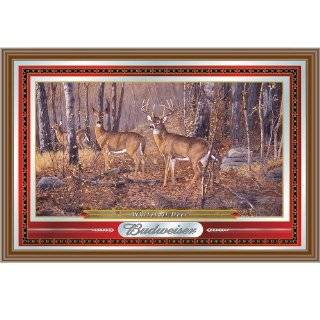 Trademark Budweiser Wildlife Series Mirror   Whitetail Deer
