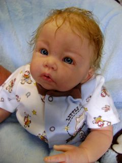Adorable Reborn Baby Boy Art Doll Luca by Elly Knoops Beautiful Hair