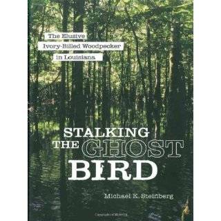 Stalking the Ghost Bird The Elusive Ivory Billed …