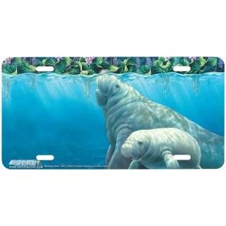 Manatee Serenity Florida Mother and Baby Manatee Art License Plate Car 